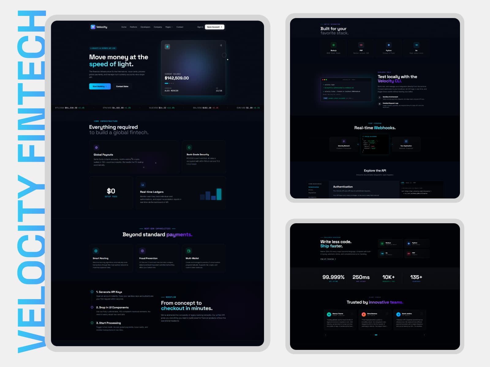 VELOCITY FINTECH Interface